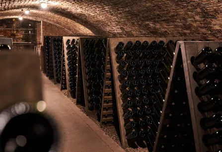 Gewölbekeller mit Holzregalen voller horizontal gelagerter Flaschen.