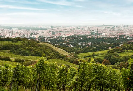wiener gemischter satz dac