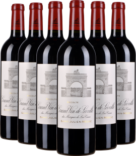 Sechs Bordeaux-Weinflaschen mit rotem Verschluss und elegantem, klassischem Etikettendesign.