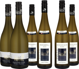 Sechs elegante Weinflaschen mit schwarzen Kapseln und blauen Etiketten, stilvoll arrangiert.