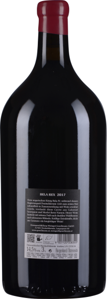 Große, dunkle Weinflasche mit rotem Verschluss vor weißem Hintergrund.