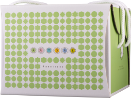 Weiße Box mit grünem geometrischem Muster und seitlichen Tragegriffen.