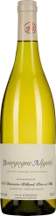 50009487