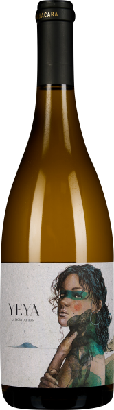 50009528.2023