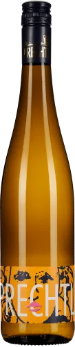 50009566