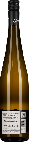 50009570.2022 2