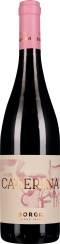 50009844