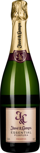 Grüne Sektflasche mit goldener Folie und violettem Etikett.