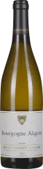 Elegante Weinflasche mit goldener Flüssigkeit, schwarzem Verschluss und ansprechendem Etikett.