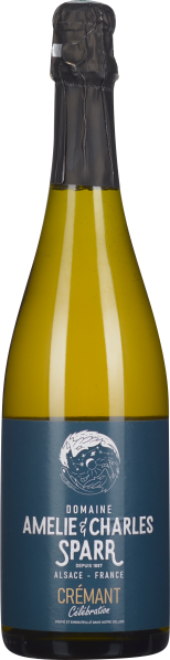 Grüne Sektflasche mit schwarzem Verschluss und dunklem Etikett.