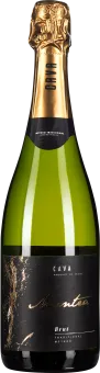 Grüne Sektflasche mit goldener Folie und elegantem schwarzem Etikett.