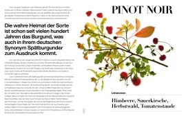 Pflanzenzweig mit bunten Blättern und Früchten auf weißem Hintergrund.