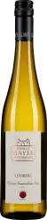 61027937.png
