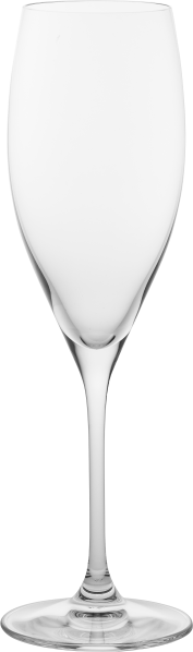 68020533.png