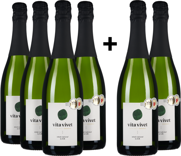 Sechserpack grüne Sektflaschen mit schwarzem Hals und modernem Etikett.