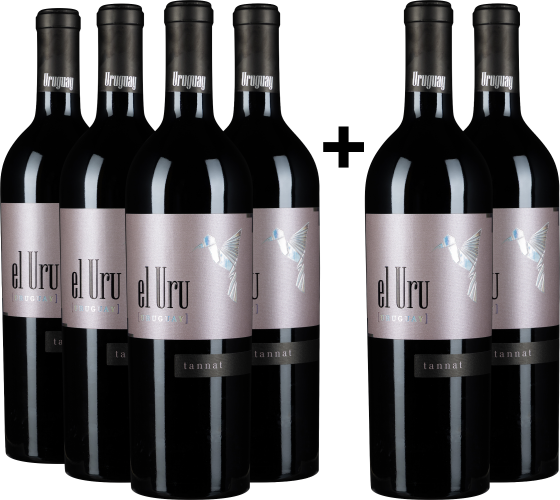 Sechs elegante Weinflaschen mit mattem, violetten Etikett und minimalistischem Design.