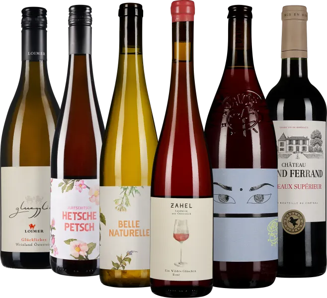 Sechs Weinflaschen stehen nebeneinander, jede mit einer einzigartigen Etikette. Die Flaschen sind unterschiedlich geformt und in transparentem Glas gehalten, das verschiedene Weiß-, Rosé- und Rottöne zeigt. Die Etiketten zeichnen sich durch dekorative Des