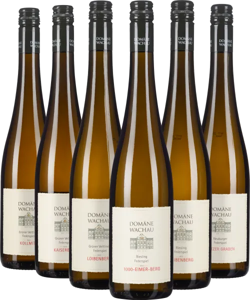 Sechs elegante Weinflaschen mit weißen Etiketten und schwarzen Schraubverschlüssen.