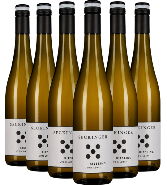 Sechs elegante Weinflaschen mit schwarzem Verschluss und schlichtem Etikett in Reihenaufstellung.