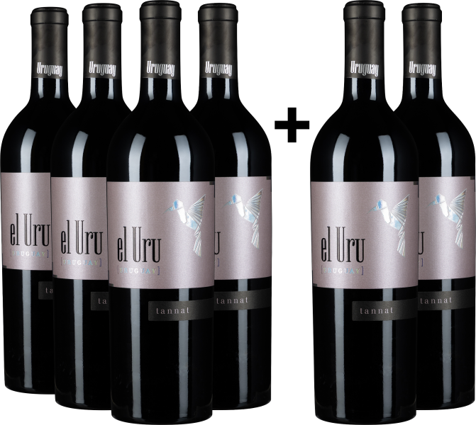 Sechs elegante Weinflaschen mit mattem, violetten Etikett und minimalistischem Design.