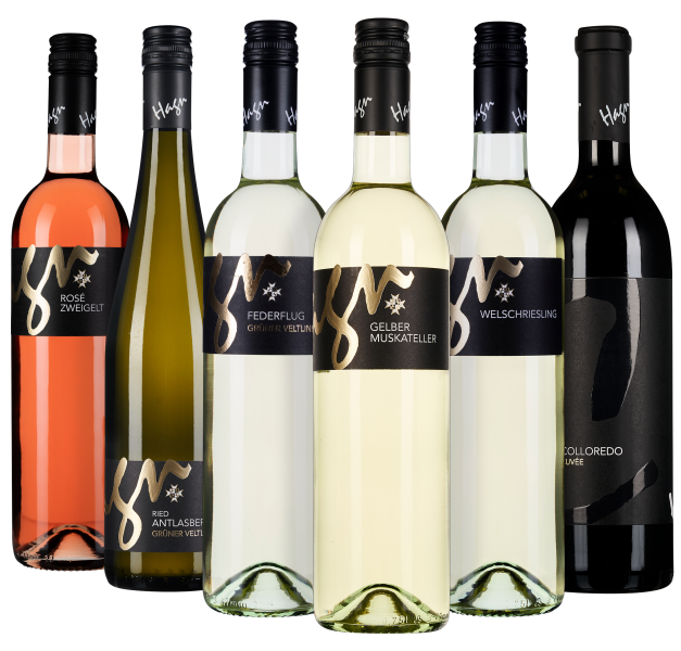 Sechs Weinflaschen mit schwarzen Etiketten und verschiedenen Farben, frontal angeordnet.