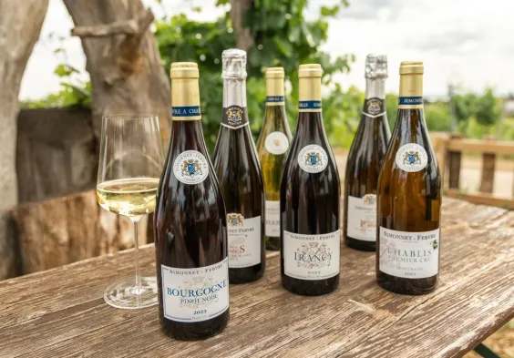 1120x780px Bildsammlung Simonnet Febvre Bottles