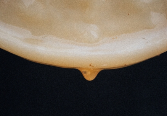 560x390px Bildsammlung Bootch Kombucha2