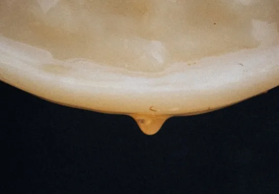 560x390px Bildsammlung Bootch Kombucha2