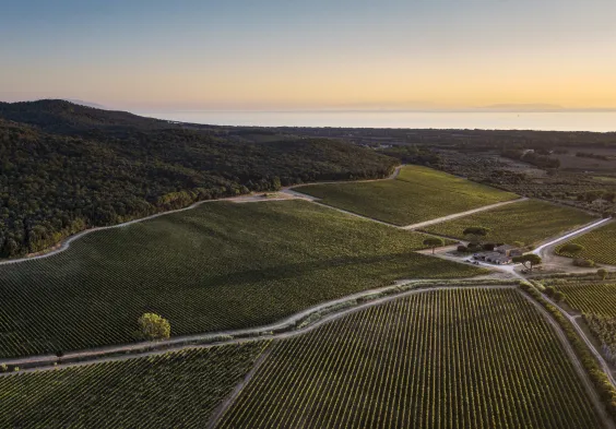 Antinori Tenuta Guado al Tasso 2