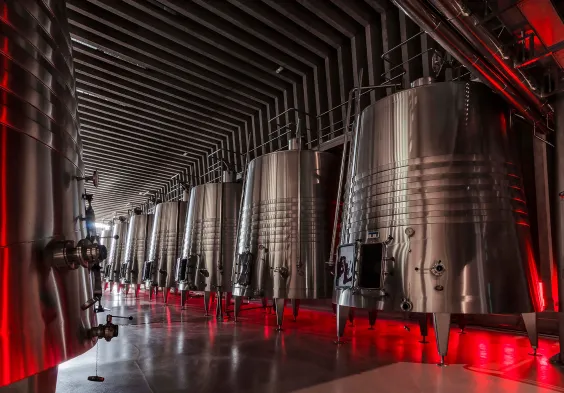 Bodegas Portia (5)