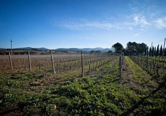 Camarcanda (11)
