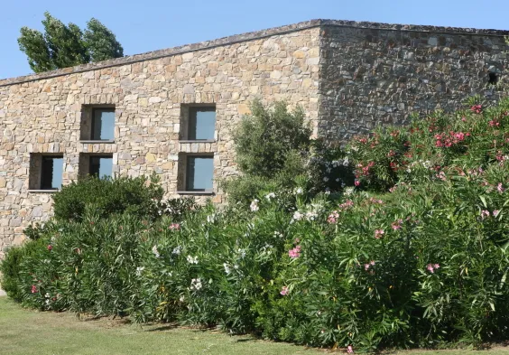 Camarcanda (25)