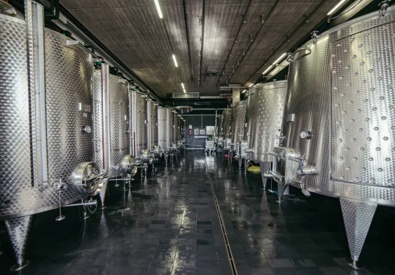 Castello di Perno CdP 64