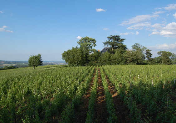 Chateau des Rontets 2 1