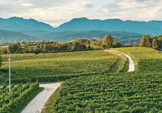 Col Sandago 2022 Ausblick