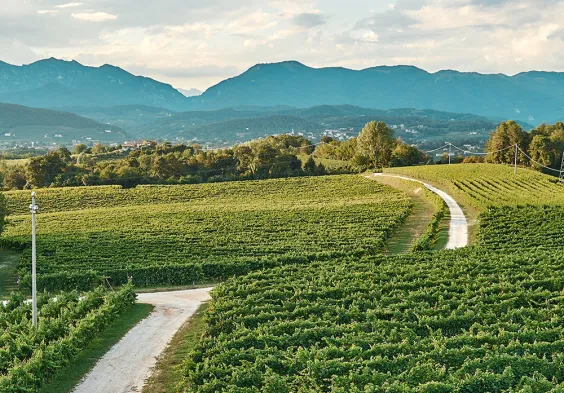 Col Sandago 2022 Ausblick