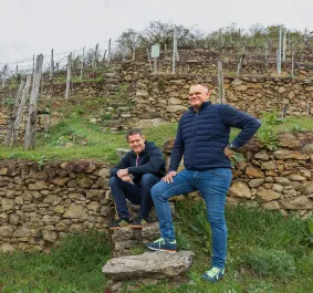 DomaeneWachau v2