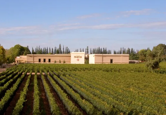 Finca Perdriel 4