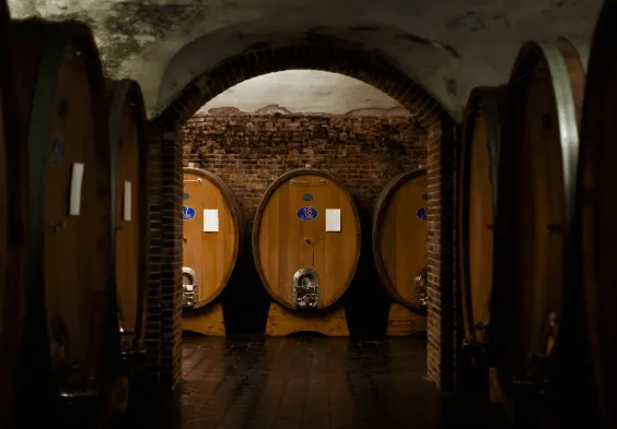 Gaja (2)