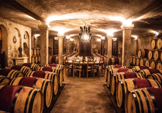Hamilton Russell Vineyards Maturation Cellar (1)