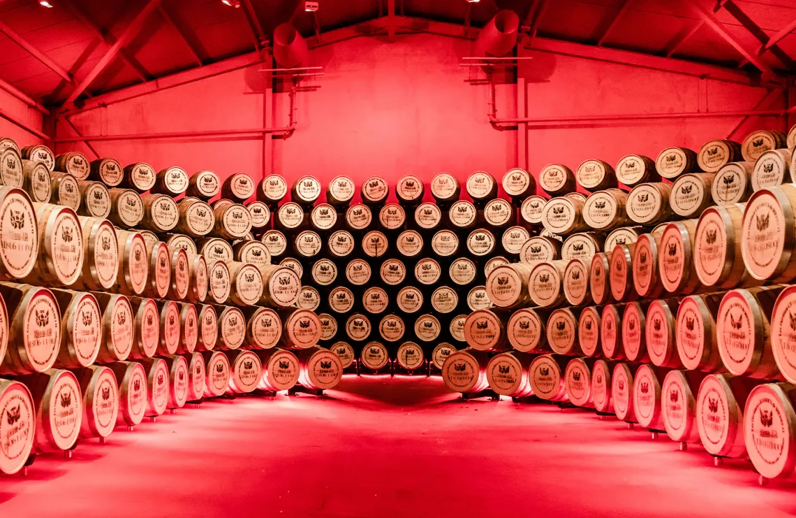 Gestapelte Holzfässer in rot beleuchtetem Lagerraum.