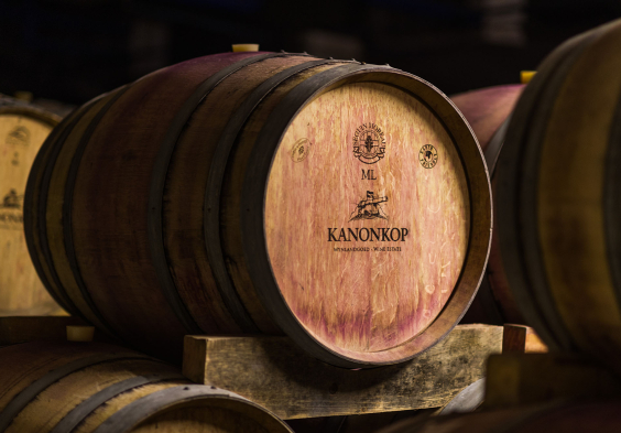 Kanonkop Barrel 6