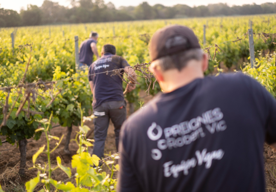 Les Domaines Robert Vic Weingarten Team