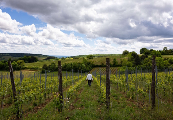 Les Monts 6