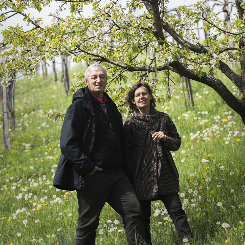 Natural Wine Hotspot Steiermark - WEIN & CO