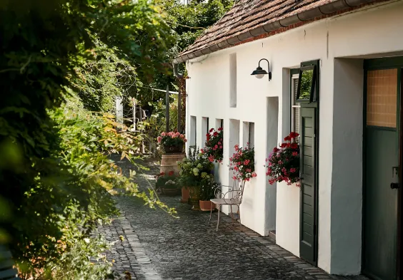 Markowitsch Impressionen10