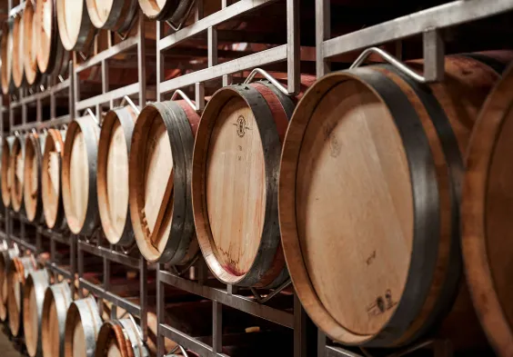 Markowitsch Impressionen2