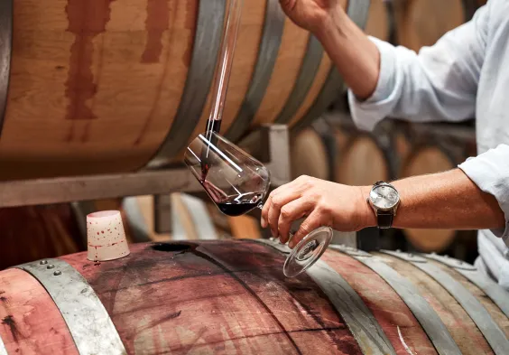 Markowitsch Impressionen4