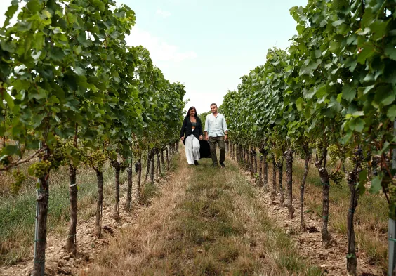 Markowitsch Impressionen6