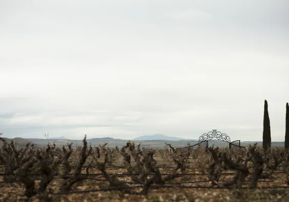 Marques de Vargas (2)